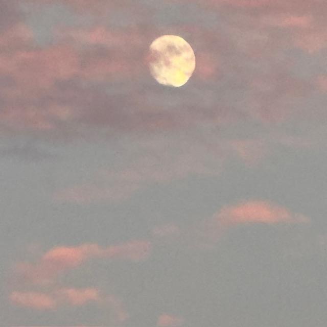 The moon is almost full and looks really cool with clouds in front of it this evening.