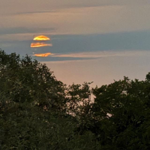 Finally out of the trees but still behind clouds. This is the Hunter's Moon.