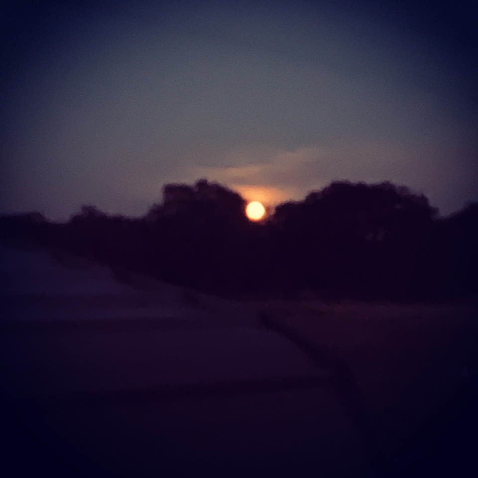 The full moon came up here at the farm tonight around 7:30pm. It was incredibly orange and bright but it doesn't translate to the photo.