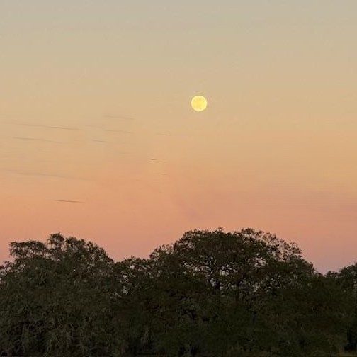 The full moon looked lovely tonight as the sun went down.