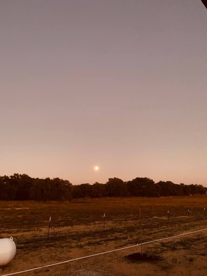 The full moon grabbed my attention this evening. It looks gorgeous on the farm!