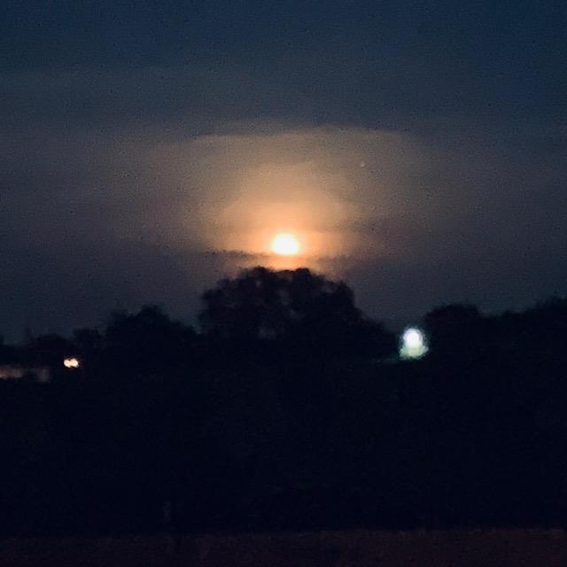 The Sturgeon Moon once it cleared the tree. There were clouds so I could not get a good photo of just the moon. It sure was gorgeous but it was hot out there.