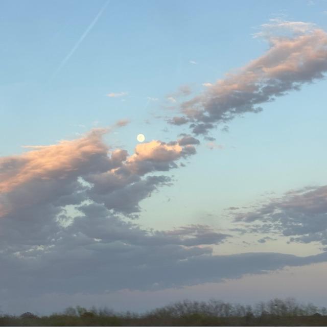 I took this photo on the way home this evening before dark.