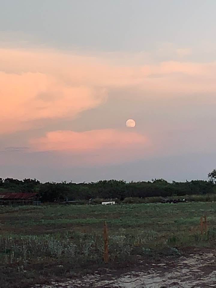 Our first full moon on the farm in 2019.