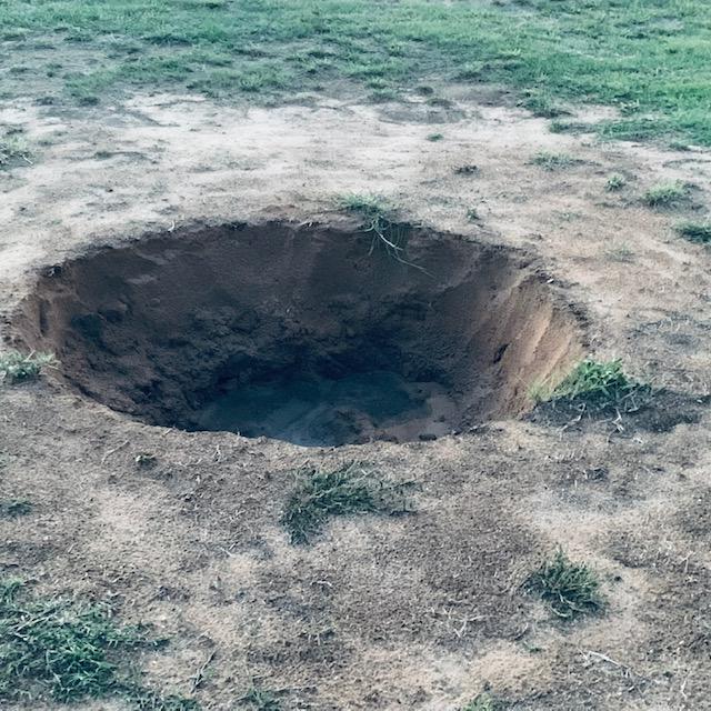 This is the home of our future back 40 pond. It is right in front of the orchard.