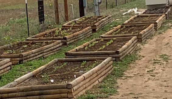 Things are finally coming up but it hasn't rained. How will you water your garden? Make a plan before you plant.