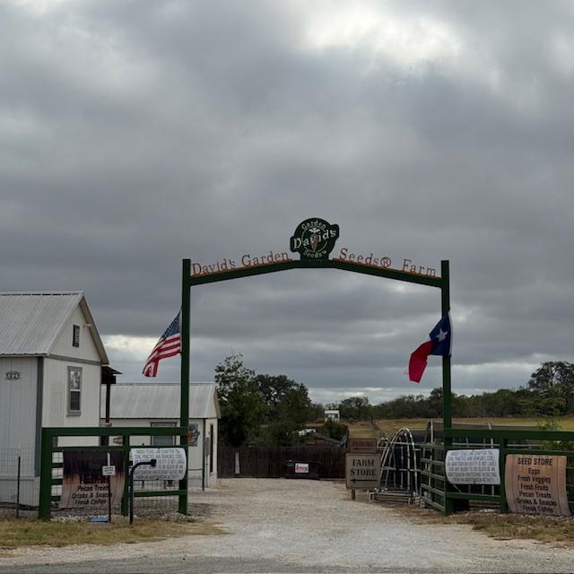 I took this photo of the gate this morning. We have new flags & a new paint job. Looks great! This is what you see from the road.