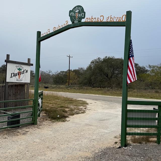 We hung up our brand new flags and they are all wet.