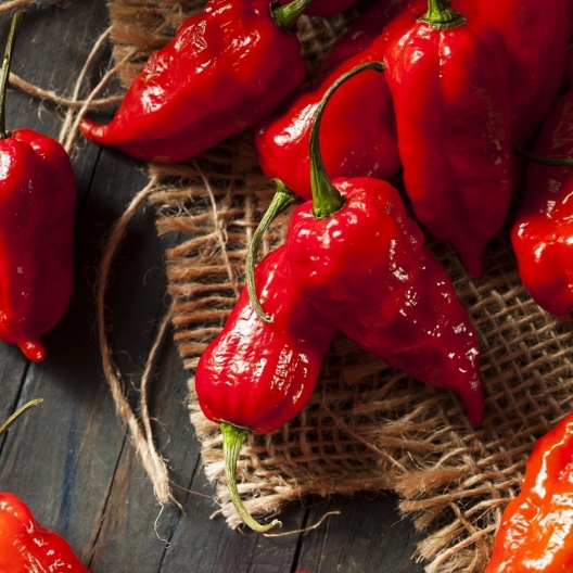 Plant Ghost Peppers with doomsday hot pepper seeds.