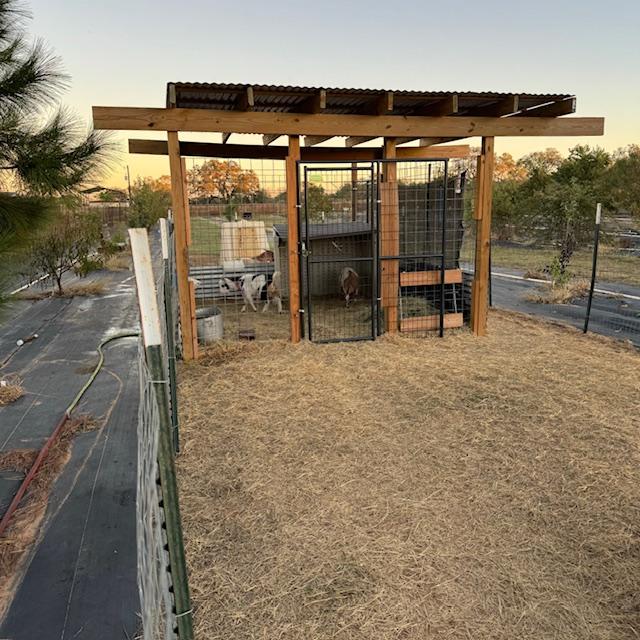 The girl's goat pen with Norton's behind it.