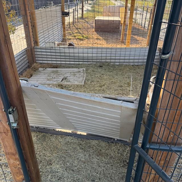 Here is more of the shelter taken apart.