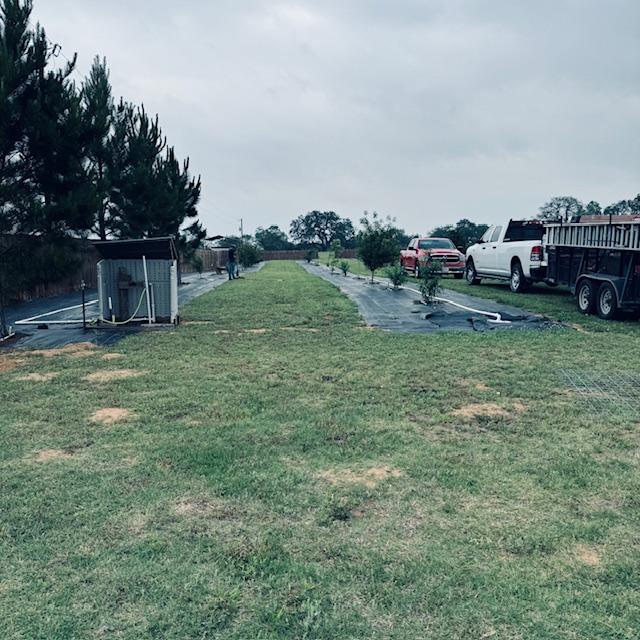 For now, we are putting the goats in a small area of the orchard. We will fence the trees so they cannot destroy them.