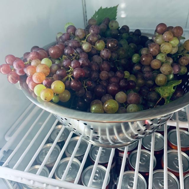 grapes2