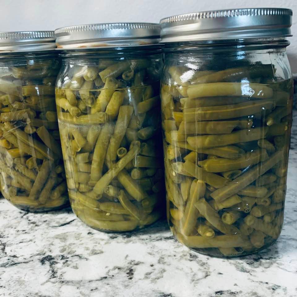These beautiful green beans were just home canned. You can purchase some in our farm store. They are delicious, fresh beans that we just put up.