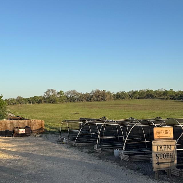 Everything is so green right now from the rain two weeks ago.
