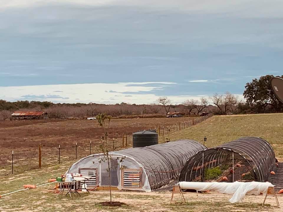 If you are looking for David's Garden Seeds® right now (February 2020), they are not at the farm. You will need to go into San Antonio. Our farm store won't be ready until April 2020.