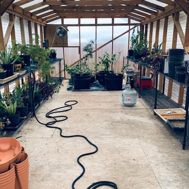 greenhousefullagain greenhousefullagain