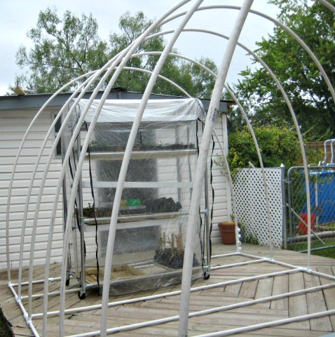 This is the PVC bones of the greenhouse.