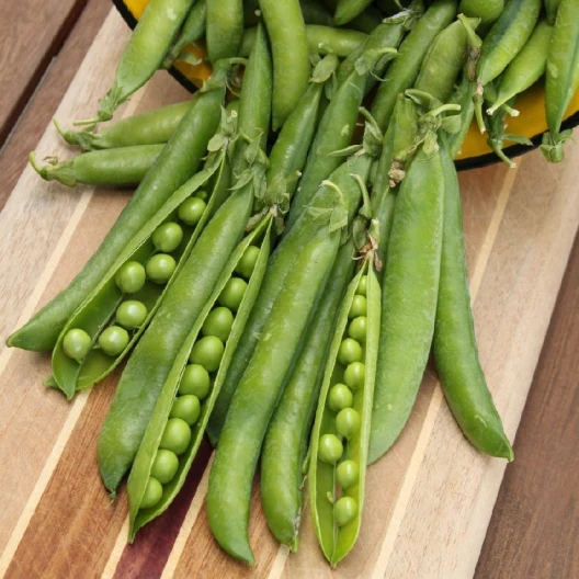 Green arrow peas are legume plants.