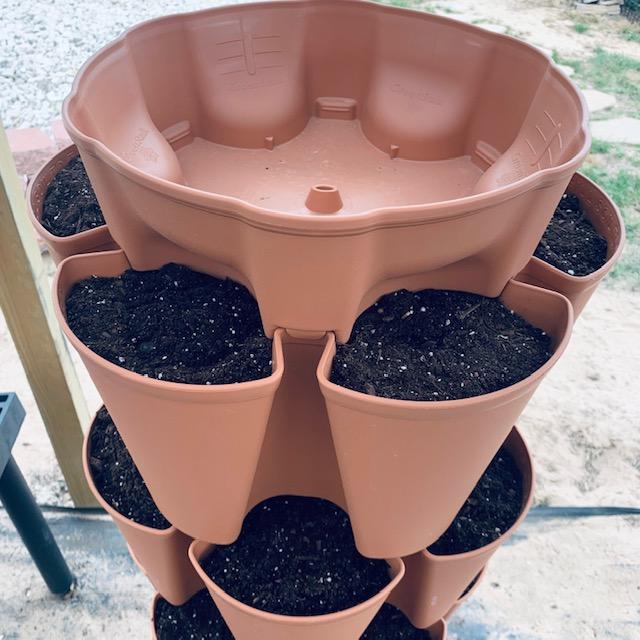 The top of the Greenstalk is for watering. This Greenstalk holds 30 plants, six to a row.