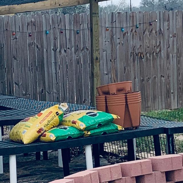 My Greenstalk vertical garden needs to be put together and filled with soil so I can plant it. I am hoping to find time to get it done today.