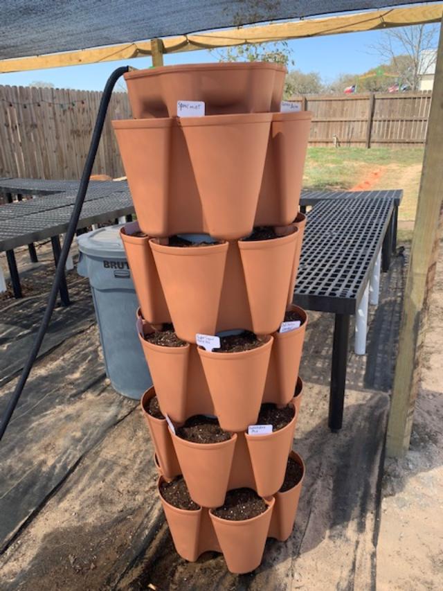 I planted some of my Greenstalk planter today.