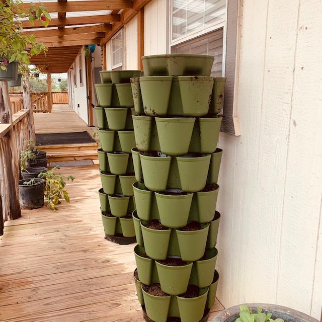 Now the Greenstalk planters are on the Farm Store deck where they can be on even ground. Hopefully they don't blow over again.