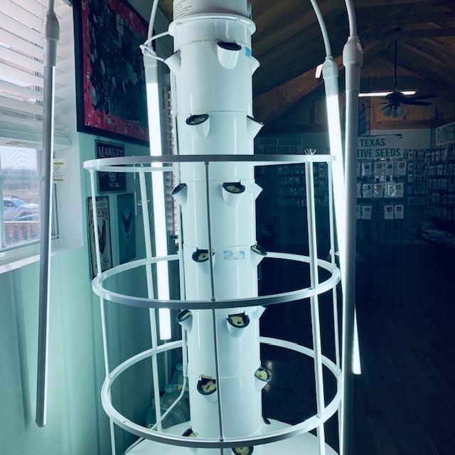 7 varieties of lettuce have now been planted in the grow tower. The water is going and the grow lights are back on. 7 varieties of lettuce have now been planted in the grow tower. The water is going and the grow lights are back on.