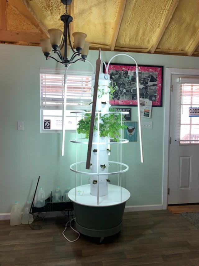This is the hydroponics grow tower in our Farm Store. We grow herbs, lettuce, and greens in it. Right now, we are growing herbs.