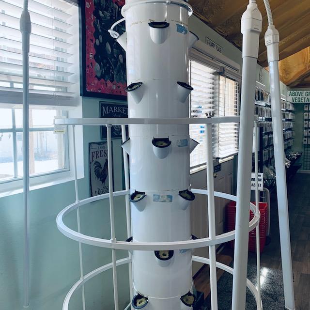 Grow tower is now planted with fresh rock wool and lettuce seeds. Time to turn on the water and the grow lights in our Farm Store. Grow tower is now planted with fresh rock wool and lettuce seeds. Time to turn on the water and the grow lights in our Farm Store.