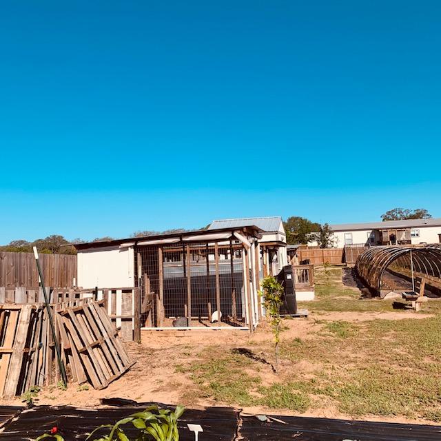 Compost pile, guinea coop, and hoop house 5, where my peanuts are planted.