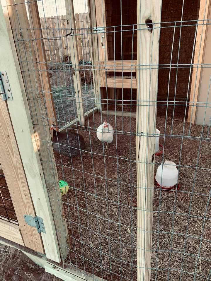 Possibilities On The Farm