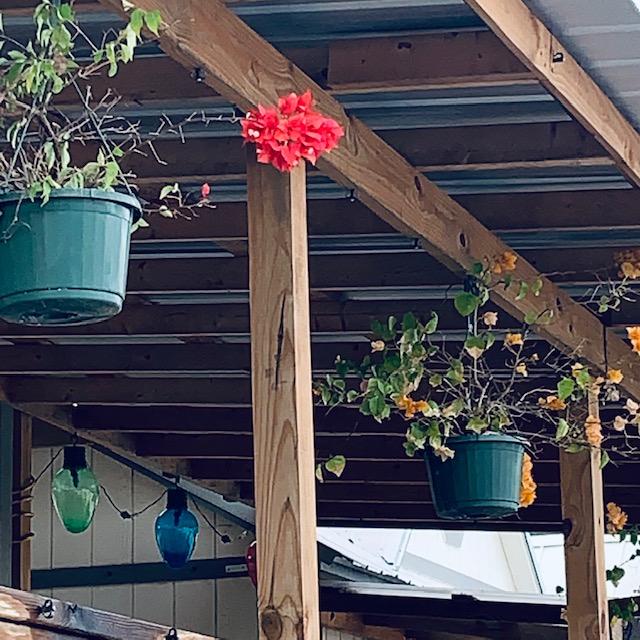 Here are more container garden ideas. Place one hanging pot every few feet on a covered deck. They can contain herbs or flowers.