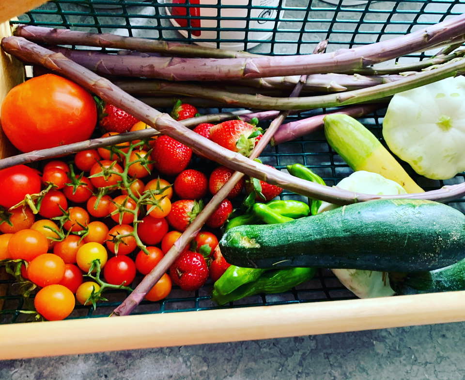 Today's official garden harvest has asparagus, squash, zucchini, scallop squash, strawberries, cherry tomatoes, and slicing tomatoes. It looks pretty good!