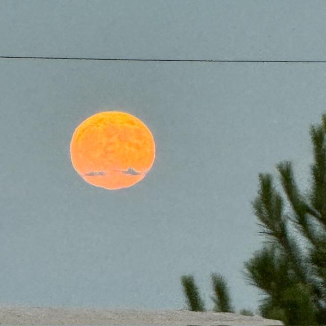 The harvest moon looked so pretty when it first rose. I took this with my iPhone.