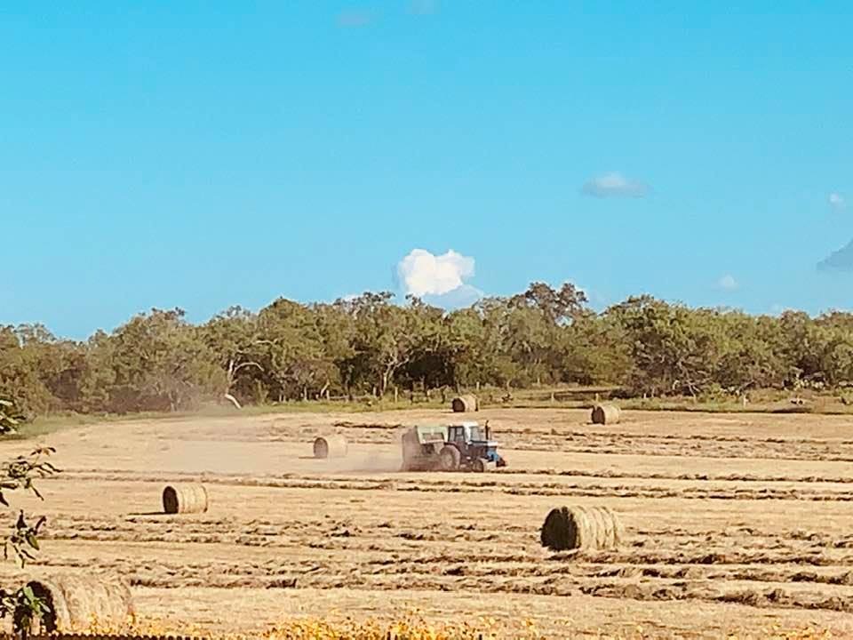 It was fun to watch the hay bales get made while I swam.