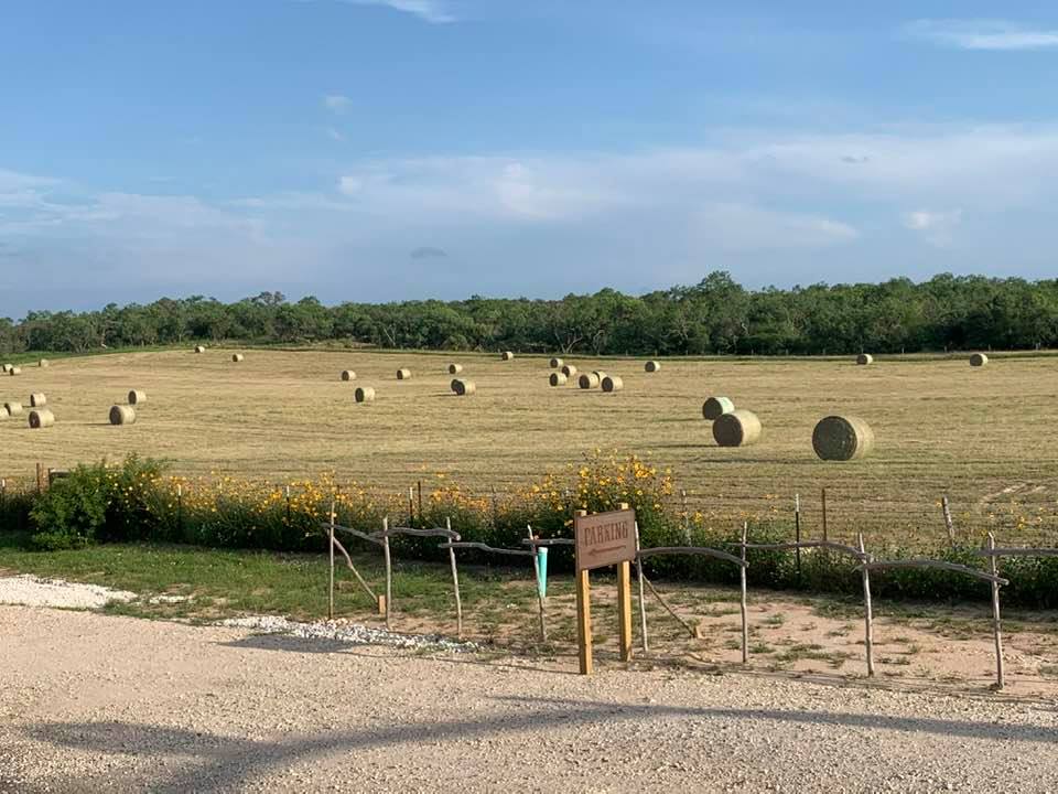 I love it when our neighbors bale their freshly mowed hay! I think it looks beautiful.