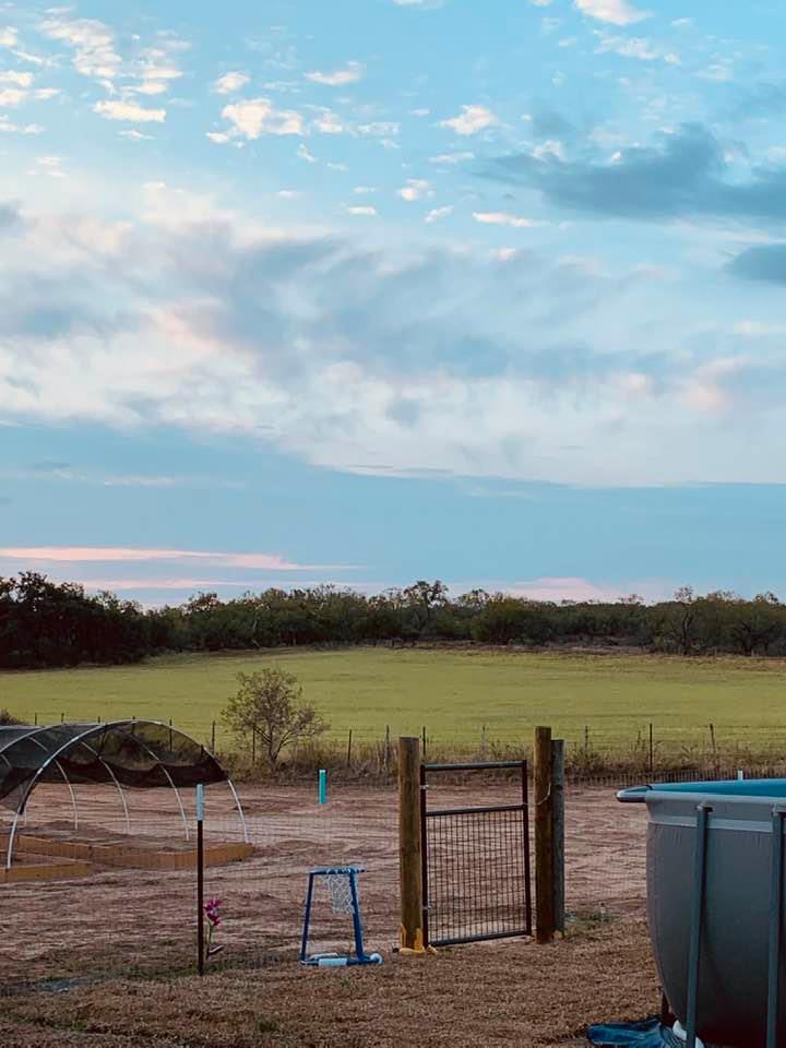 Our backyard and hay meadow.