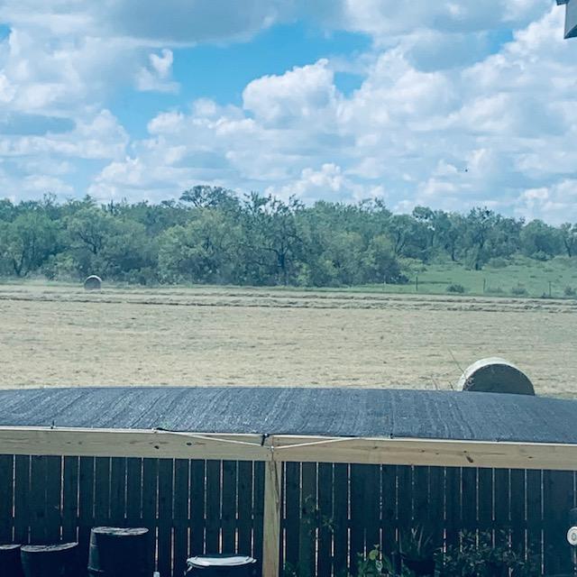 This hayfield finally turned green. They mowed it for the first time this year.
