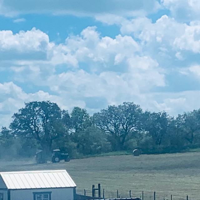 The hay is rolled in the machinery behind the tractor.