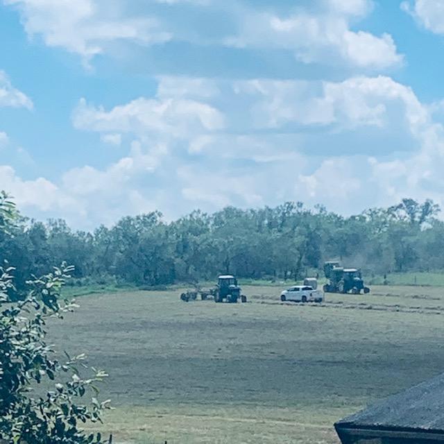 I love watching the mowing and the rolling of the hay rounds.