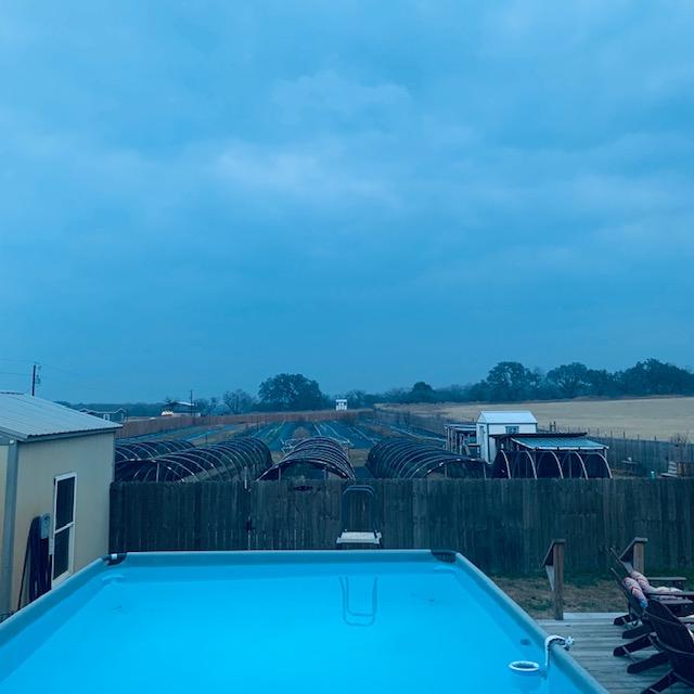 No sunrise today. The sky is cloudy and the air is sort of bluish and hazy looking.