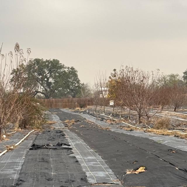 The air is sort of hazy today. It is currently 69° and the weatherman says it will be 84° this afternoon. The animals are all fed now.