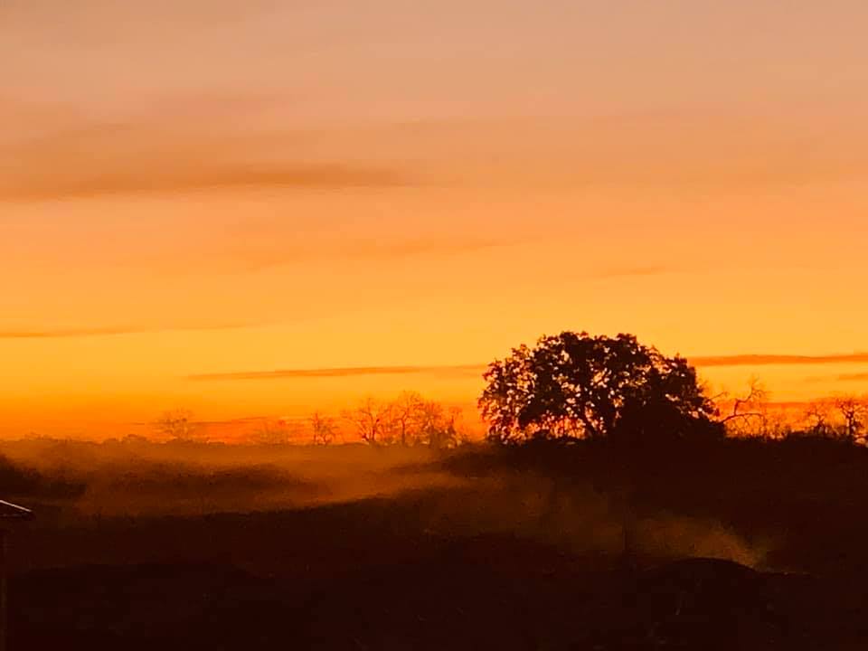 Hazy yellow sunrise from the pool deck.