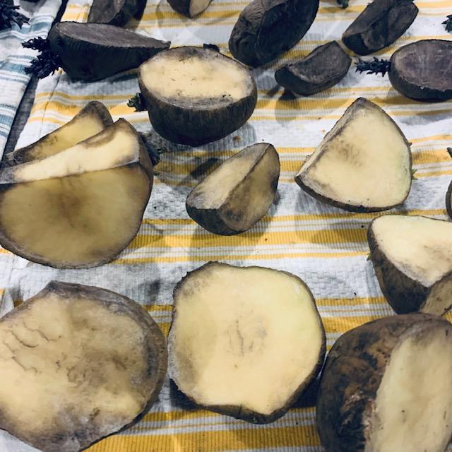 Up close, you can see the shrinkage. This is how to grow potatoes in Texas and everywhere, only not as early as we do in Texas.