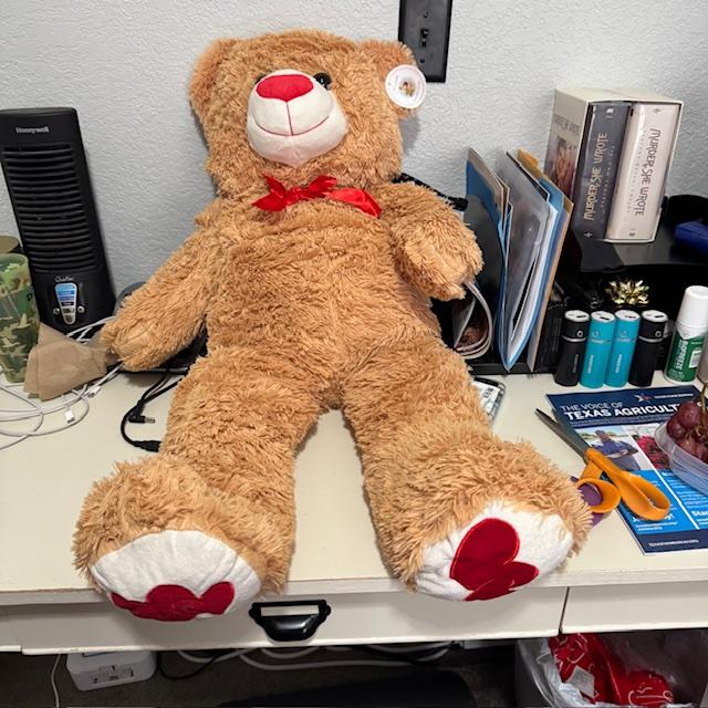 It took me forever to open it. This is my Valentine bear!