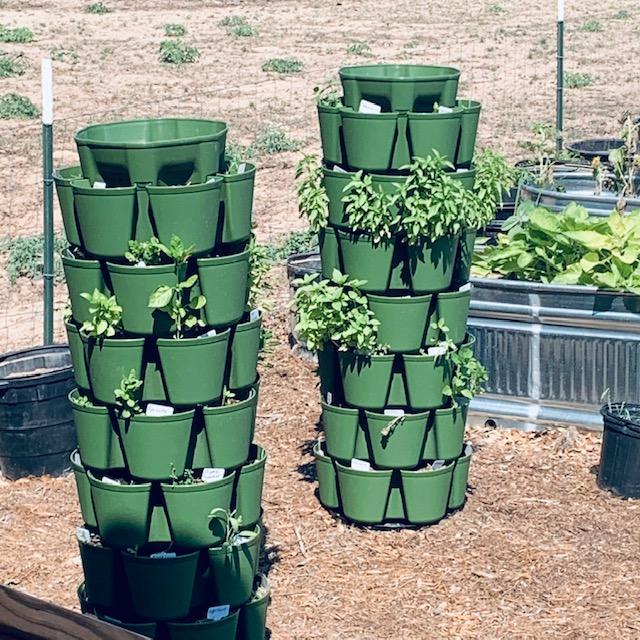 These are Greenstalk planters. There is also a large black pot as well as a trough we picked up at Tractor Supply. All are good for small space gardening. These are Greenstalk planters. There is also a large black pot as well as a trough we picked up at Tractor Supply. All are good for small space gardening.