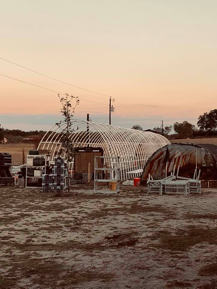 Our new high tunnel. All of the debris and shelving came out of our old greenhouse and will go into the new one for plants once it is finished. Our new high tunnel. All of the debris and shelving came out of our old greenhouse and will go into the new one for plants once it is finished.