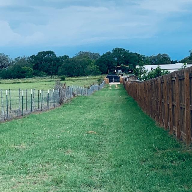 Looking towards the gate from close to the top of the hill on the farm.