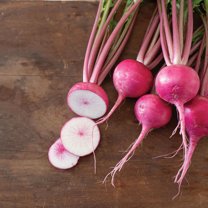 Grow turnips like the Japanese Hirosaki Red.